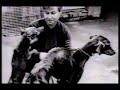 Gary Numan - RSPCA - I Still Remember