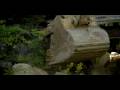 American Loggers: The Machines