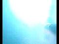 videos de Pendulum