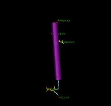 Glucagon