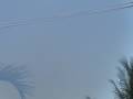 FLORIDA UFO - DELINE