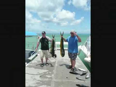 Caught Big Ass Dolphin Fish - Dorado ...
