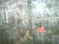 Medal of Honor Heroes 2 Wii Online Glitch