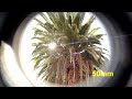 Anamorphic Lens Flare Test with 5D mk2 DSLR