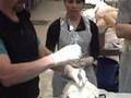 Bougie aided cricothyroidotomy