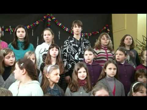 Bīstamā robeža