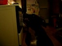 Tai eating Peanut Butter