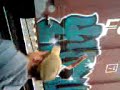 IN ACCION,DEPOR,SILBE,TIBUR,LOCKER,SIRVEC IN ACCION,DEPOR,SILBE,TIBUR,LOCKER,SIRVEC