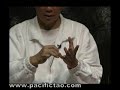 Mantak Chia DVD Iron Shirt Chi Kung III Clip 1