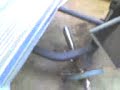 Radom Video: My Pets