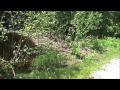 videos de Beaver Dam