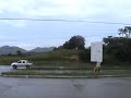 capira panama - LovePanamaRealEstate.com