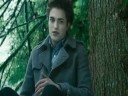 Twilight--Never Alone