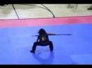 Kung Fu Disney Martial Arts 3 Star Grand Champ Julie Drapkin