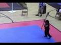 Disney Martial Arts Julie Drapkin