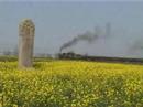 Yinghao Coal Train 1