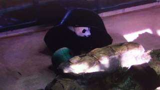 Smithsonian National Zoo