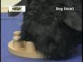 videos de DogSmart Intelligenzspielzeug