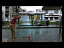 dog football