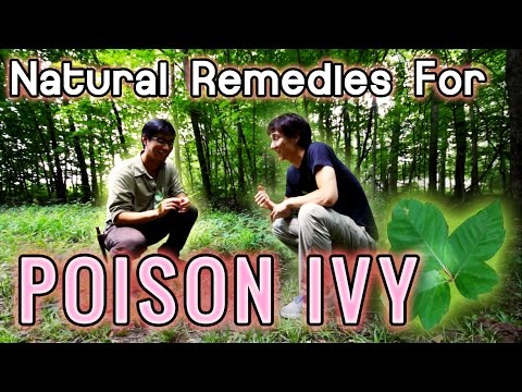 how to cure poison ivy rash quickly