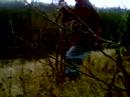 nic grass skiing into a tree