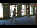 kata Nippon kempo ky