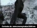 Dolor en la nieve Dolor en la nieve