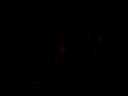 The Dreaming - Bleed (live) The Dreaming - Bleed (live)