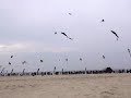 The Scratch Bunnies Kite Team