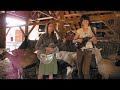 The Ditty Bops @ Redwood Hills Goat Farm: 