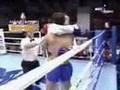 Tae Kwon-Do W.T.F Vs Muay Thai #1