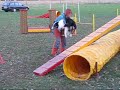 Moony - Agility trénink ve Dvo?e, 1. - 2. 11. 2008 Moony - Agility trénink ve Dvo?e, 1. - 2. 11. 2008