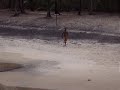 Paulinho fazendo a filmagem, as ondas ñ estavam muito boas por causa do vento q tinha entrado, mas depois o mar começou a bombar !!!!