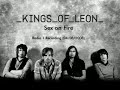 Kings-Of-Leon-Sex-On