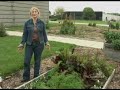 Osmocote Gardening Tip 22 Raised Bed Gardening Osmocote Gardening Tip 22 Raised Bed Gardening