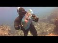 spearfishing hawaii hawaii de z?pk?n ?ov spearfishing hawaii hawaii de z?pk?n ?ov