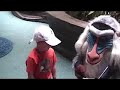 Nets FX - Mickey World 2003 (Part 07) - Autographs