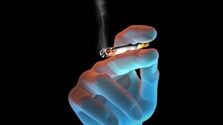 Efectos del tabaco en la salud Efectos del tabaco en la salud