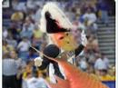 Vanderbilt Commodore Gets TAILSMACKed!