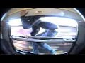 Trainriders-NRW