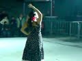 flamenco montillano