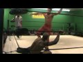 AR FOX vs J BRIGHT