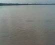 Passeio d barco *BOTO*