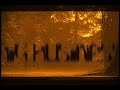 Foti G - Song by Ashes feat. Jaykin - Art of Words Ephin.com