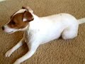 Libby rolling around