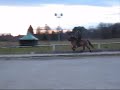 Galdur.wmv