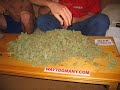 Congo Natty feat. Top Cat - Herbsman 2