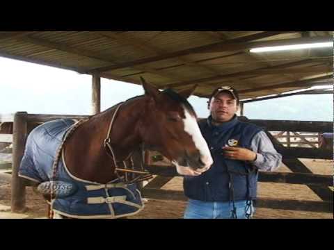 EMBOCADURA -