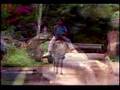 Ver Video