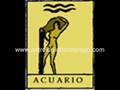 Horóscopo Acuario 2009